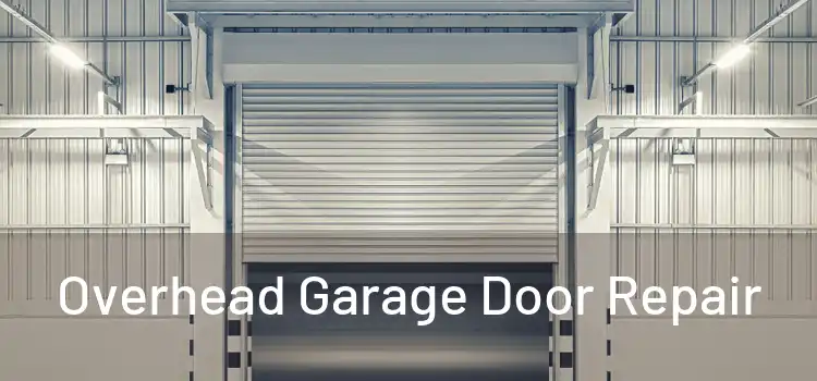  Overhead Garage Door Repair 